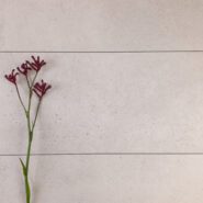 300 x 600mm Novastone Pearl Lappato Tile