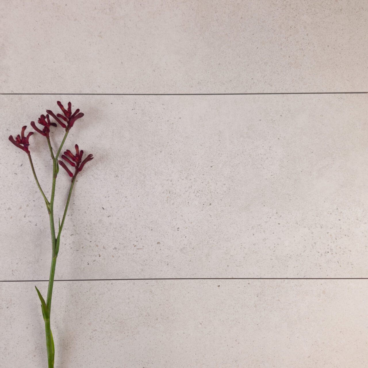 NovaStone Ivory Pearl Lappato Floor Tiles | 300 x 600 - Tile Warehouse