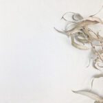 500 x 500mm Tempo White External