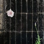 60 x 200 Brick Black Gloss Subway Tile