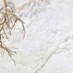 600 x 600mm Apuano Oro Natural