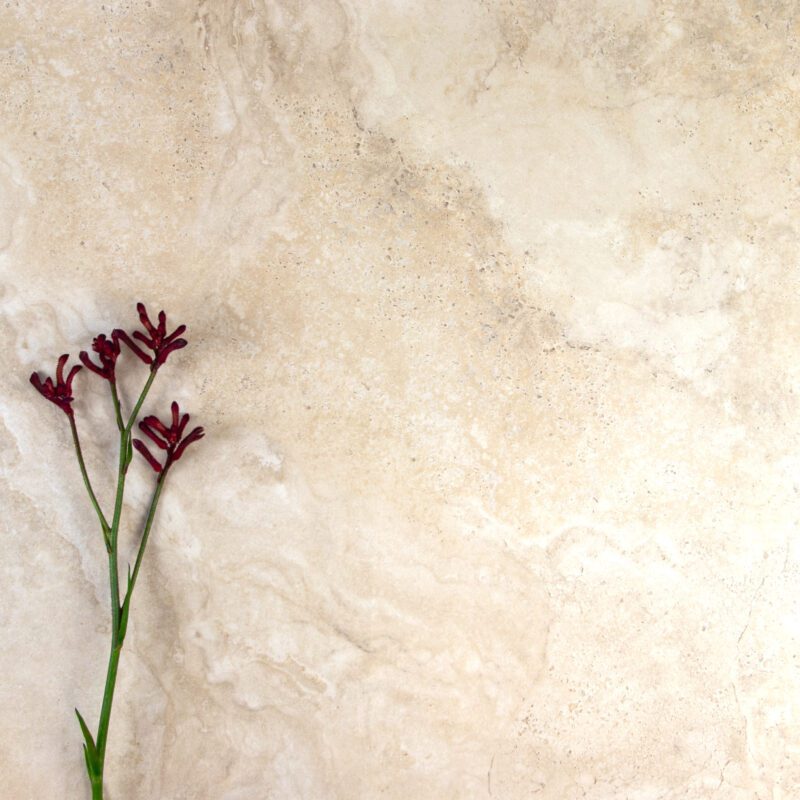 600 x 600mm Cavatore Ivory External Tile