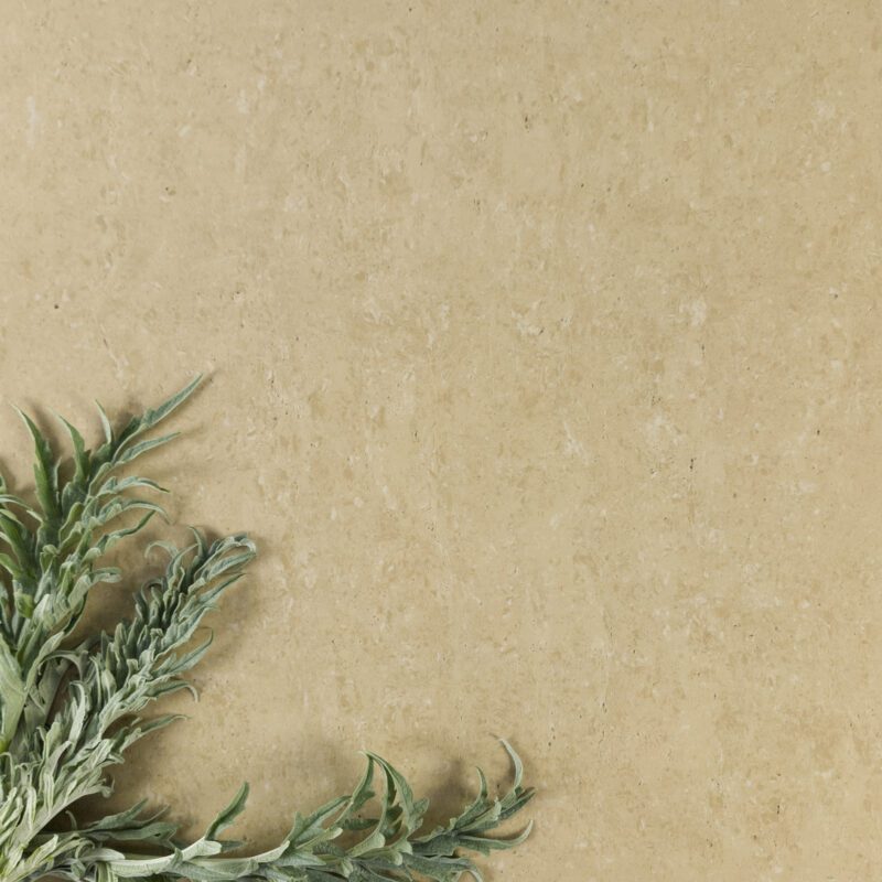 600 x 600mm Dark Travertine Polished