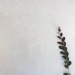 FALKIRK OFF WHITE MATT TILE