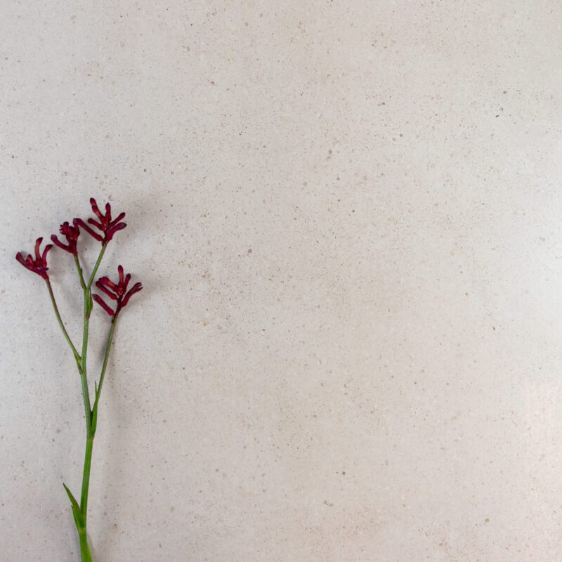 600 x 600mm Novastone Pearl