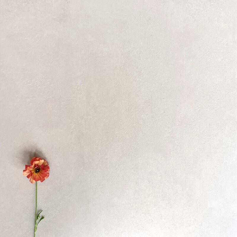 600 x 600mm SPAZIO LM NATURAL MATT