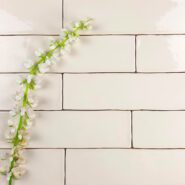 75 x 300 Bone Gloss Subway Tile