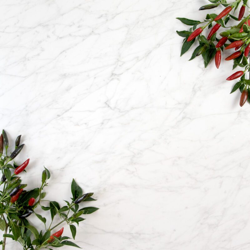 Carrara Icon Natural 600x600mm Wall & Floor Tile