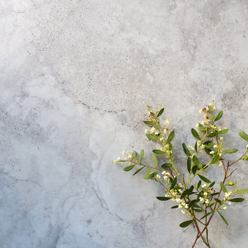 Cavatore Grigio 600mm x 600mm External Grey Tile