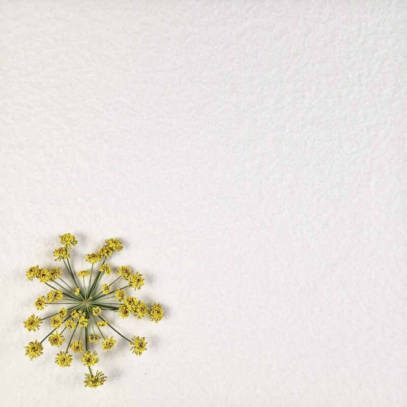 G-Series White Shaded Bush Hammer Textured 300 x 300mm Tile